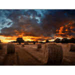 Monitor Videowall SAMSUNG VM46B, 46", 500nit, 24/7, FHD, panel IPS,