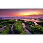 Monitor signage SAMSUNG QB98T, 98", 350nit, 24/7, UHD, mătuire 25%,